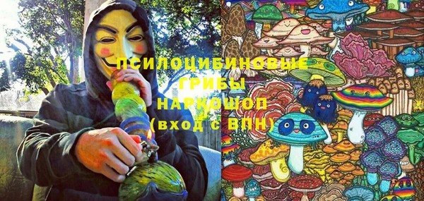 стаф Приозерск