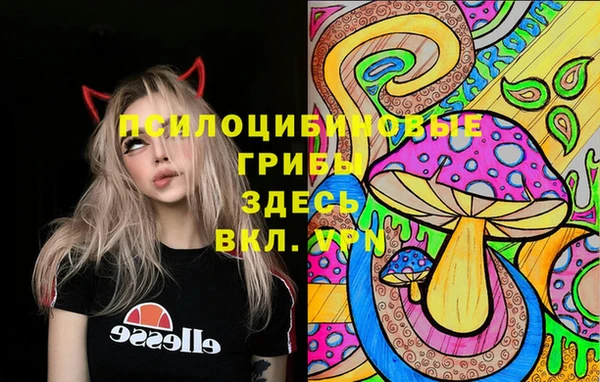 стаф Приозерск