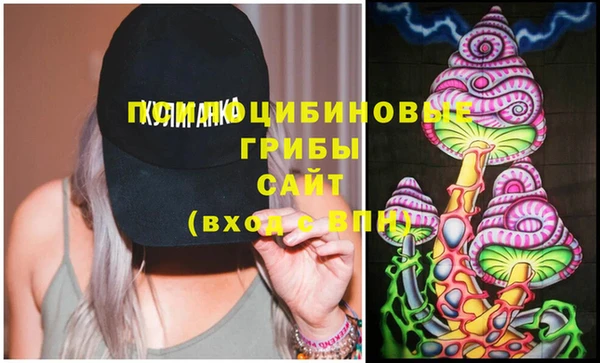 дживик Абаза